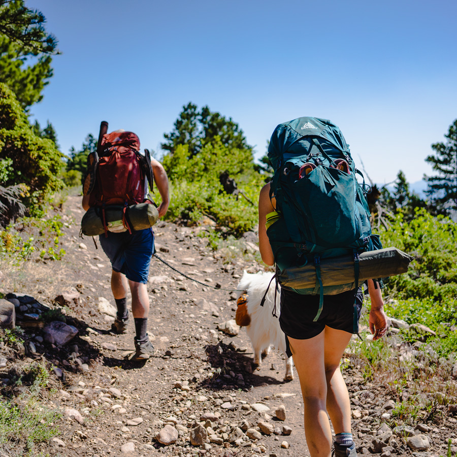 The North Face Banchee 65 Backpack | Active Junky